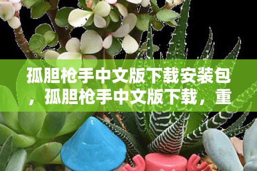 孤胆枪手中文版下载安装包，孤胆枪手中文版下载，重温经典射击游戏的魅力