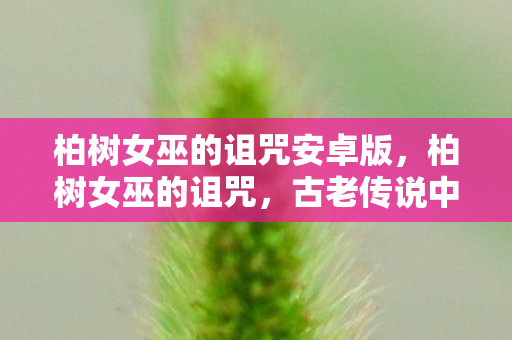 柏树女巫的诅咒安卓版图片
