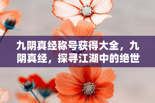 九阴真经称号获得大全，九阴真经，探寻江湖中的绝世称号
