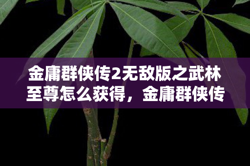 金庸群侠传2无敌版之武林至尊怎么获得图片