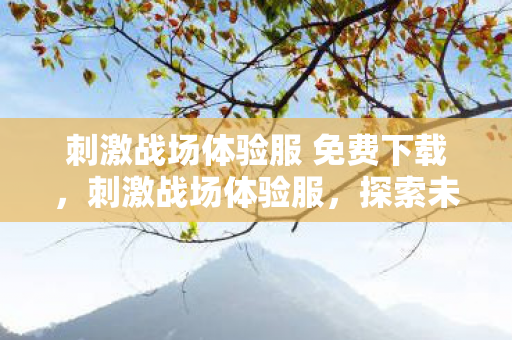 刺激战场体验服 免费下载图片