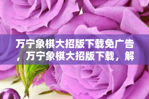 万宁象棋大招版下载免广告，万宁象棋大招版下载，解锁无限可能的象棋新体验