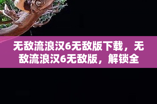 无敌流浪汉6无敌版下载，无敌流浪汉6无敌版，解锁全新冒险，畅享无限乐趣