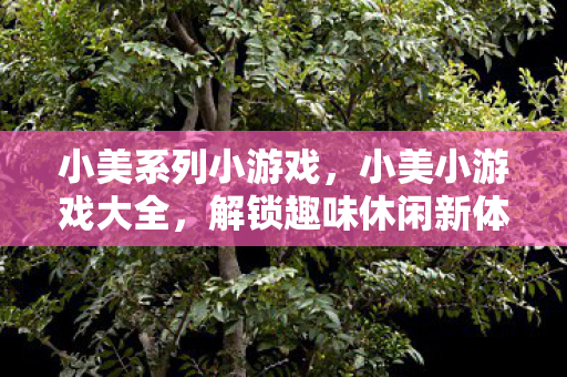 小美系列小游戏,小美小游戏大全,解锁趣味休闲新体验 小美系列小游戏,小美小游戏大全,解锁趣味休闲新体验