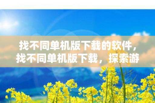 找不同单机版下载的软件，找不同单机版下载，探索游戏世界的独特魅力