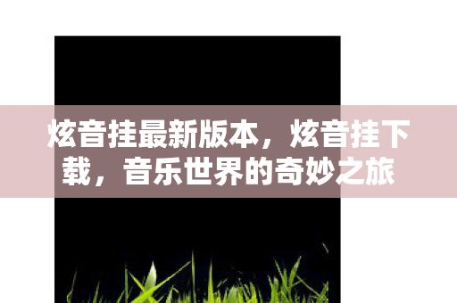 炫音挂最新版本，炫音挂下载，音乐世界的奇妙之旅