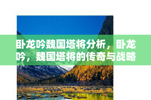 卧龙吟魏国塔将分析，卧龙吟，魏国塔将的传奇与战略