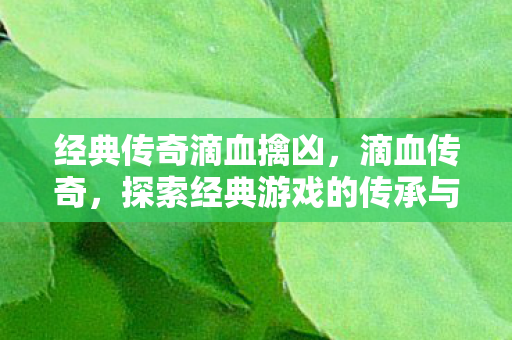 经典传奇滴血擒凶，滴血传奇，探索经典游戏的传承与变革
