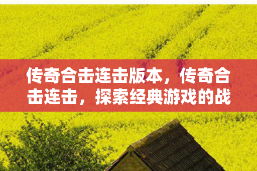 传奇合击连击版本，传奇合击连击，探索经典游戏的战斗艺术