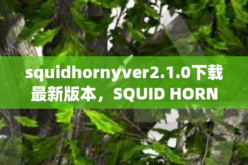 squidhornyver2.1.0下载最新版本，SQUID HORNY，探索未知世界的神秘之旅