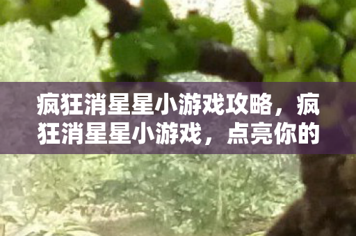 疯狂消星星小游戏攻略图片