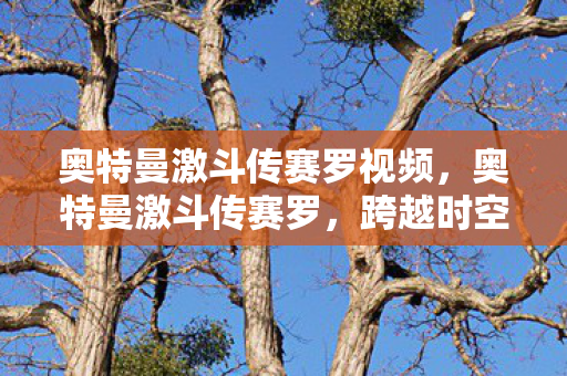奥特曼激斗传赛罗视频，奥特曼激斗传赛罗，跨越时空的勇者之战