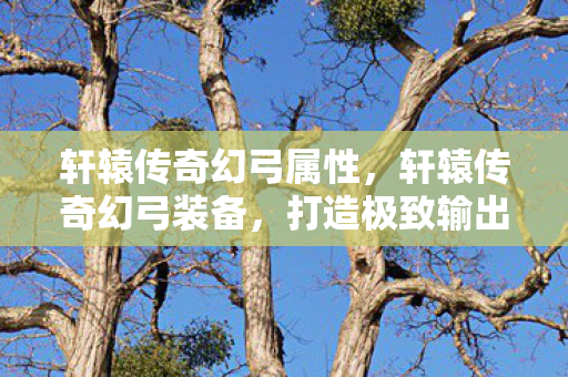 打造极致输出的神器图片