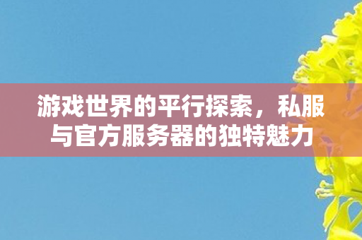 私服与官方服务器的独特魅力图片
