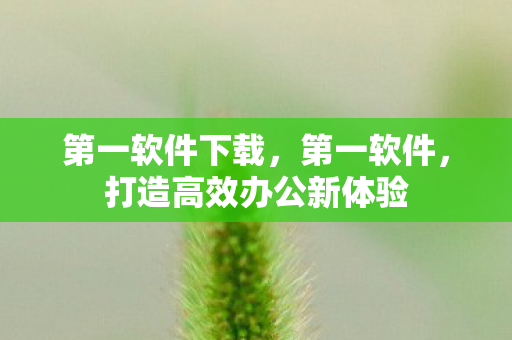 第一软件下载，第一软件，打造高效办公新体验