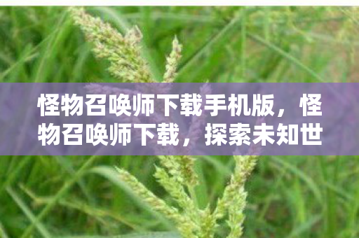 怪物召唤师下载手机版，怪物召唤师下载，探索未知世界的奇幻之旅
