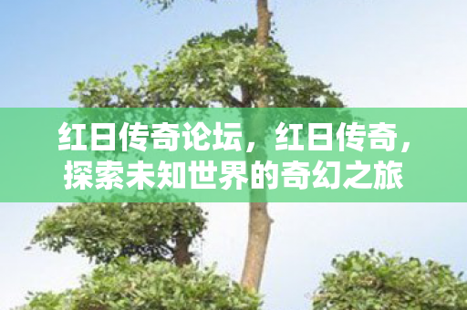 红日传奇论坛，红日传奇，探索未知世界的奇幻之旅