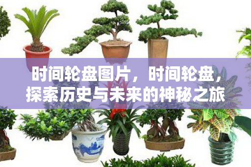 探索历史与未来的神秘之旅图片