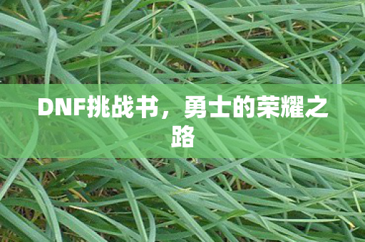 DNF挑战书,勇士的荣耀之路 DNF挑战书,勇士的荣耀之路