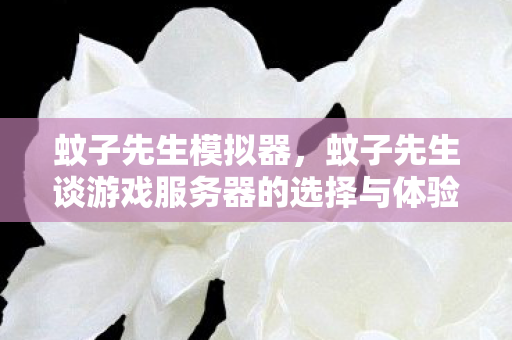 蚊子先生谈游戏服务器的选择与体验图片