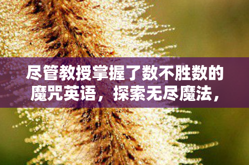 尽管教授掌握了数不胜数的魔咒英语,探索无尽魔法,教授与魔咒的奇幻之旅 尽管教授掌握了数不胜数的魔咒英语,探索无尽魔法,教授与魔咒的奇幻之旅