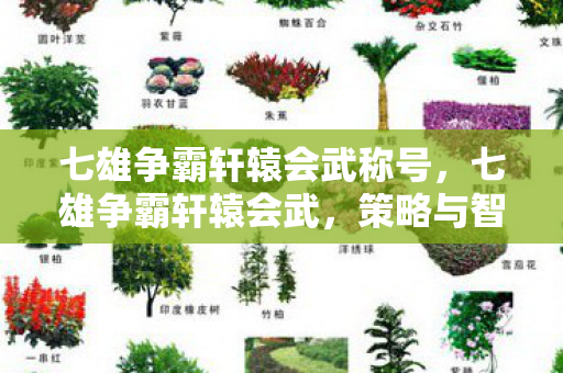 七雄争霸轩辕会武称号，七雄争霸轩辕会武，策略与智慧的巅峰对决