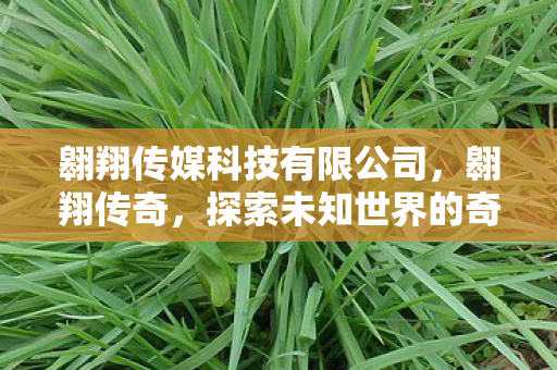 探索未知世界的奇幻之旅图片