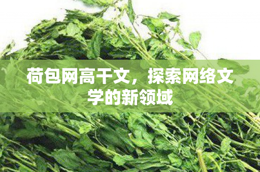 荷包网高干文，探索网络文学的新领域