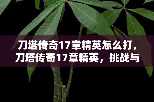 刀塔传奇17章精英怎么打图片