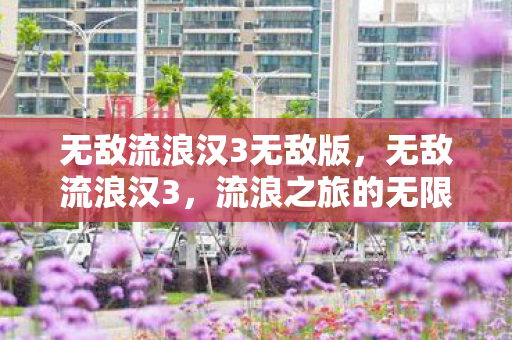 无敌流浪汉3无敌版，无敌流浪汉3，流浪之旅的无限可能