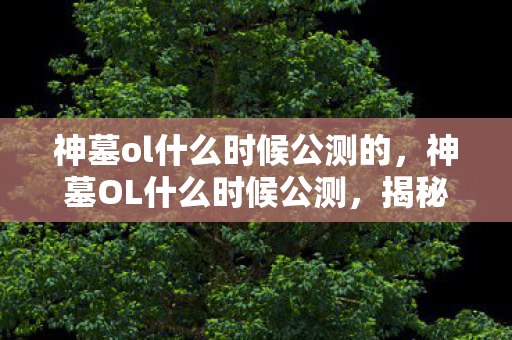 神墓ol什么时候公测的，神墓OL什么时候公测，揭秘官方公测计划