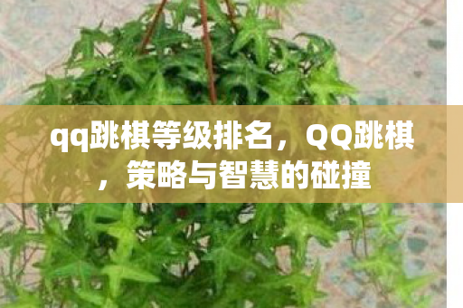 qq跳棋等级排名图片
