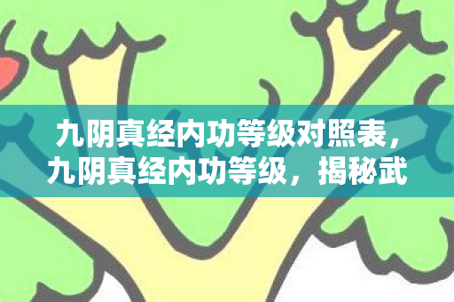 九阴真经内功等级对照表，九阴真经内功等级，揭秘武学巅峰的奥秘