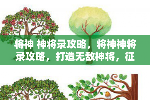 将神 神将录攻略，将神神将录攻略，打造无敌神将，征服乱世！