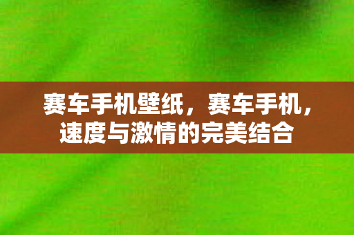 赛车手机壁纸，赛车手机，速度与激情的完美结合