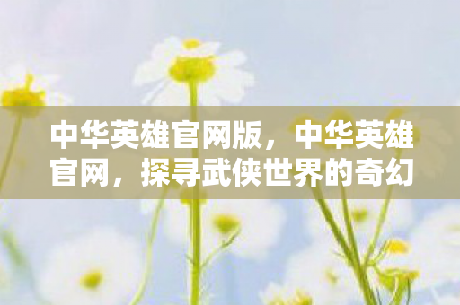 中华英雄官网版，中华英雄官网，探寻武侠世界的奇幻之旅