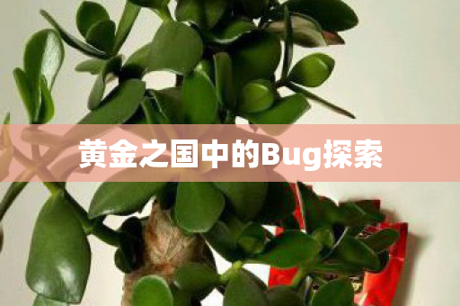 黄金之国中的Bug探索 黄金之国中的Bug探索