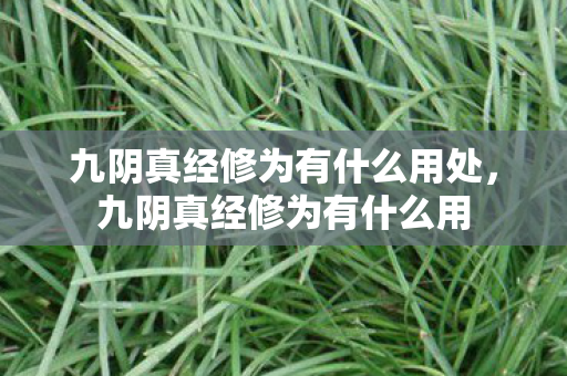 九阴真经修为有什么用处,九阴真经修为有什么用 九阴真经修为有什么用处,九阴真经修为有什么用