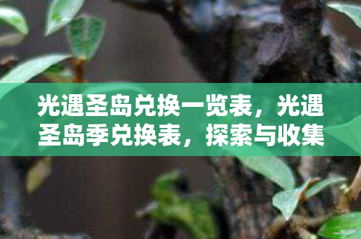 探索与收集的奇妙之旅图片
