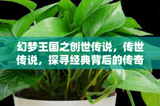 探寻经典背后的传奇故事图片
