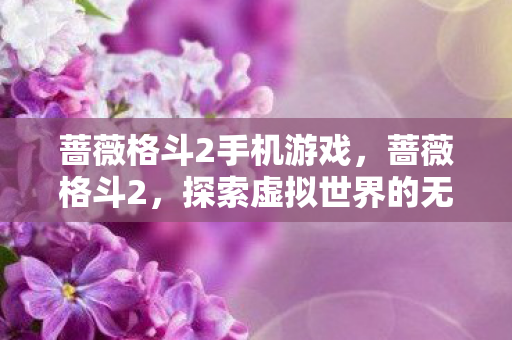 蔷薇格斗2手机游戏，蔷薇格斗2，探索虚拟世界的无限可能