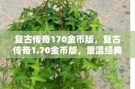复古传奇170金币版图片