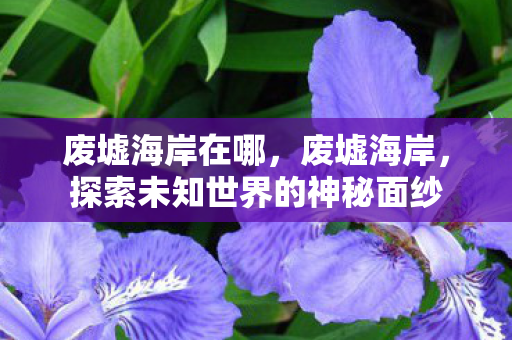 探索未知世界的神秘面纱图片