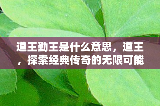 探索经典传奇的无限可能图片