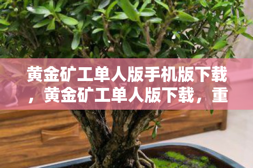 黄金矿工单人版手机版下载图片