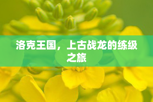 洛克王国,上古战龙的练级之旅 洛克王国,上古战龙的练级之旅