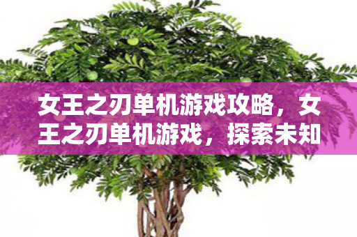 女王之刃单机游戏攻略，女王之刃单机游戏，探索未知世界的奇幻之旅