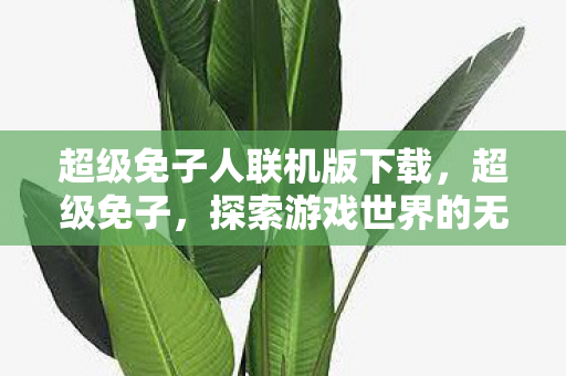 超级免子人联机版下载，超级免子，探索游戏世界的无限可能
