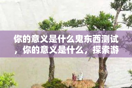 你的意义是什么鬼东西测试，你的意义是什么，探索游戏世界的多元价值