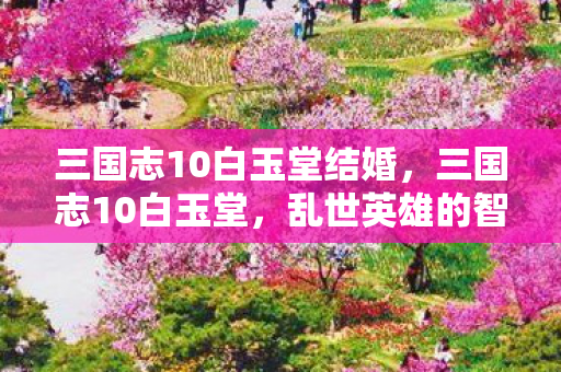 三国志10白玉堂结婚，三国志10白玉堂，乱世英雄的智谋与传奇